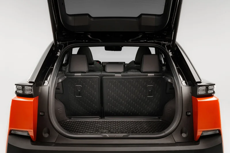 Tagaistme seljatoe kaitse